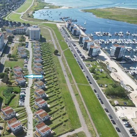 Sonnenblume Marina Wendtorf